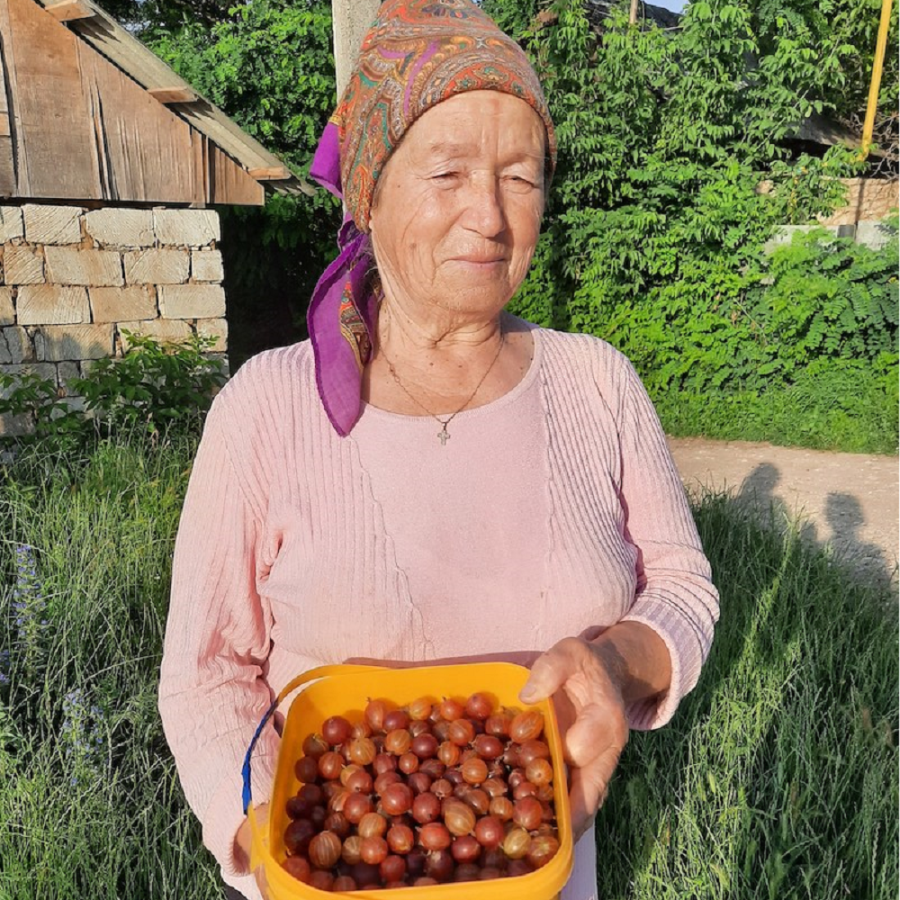 Ecaterina Riscova Pomusoare